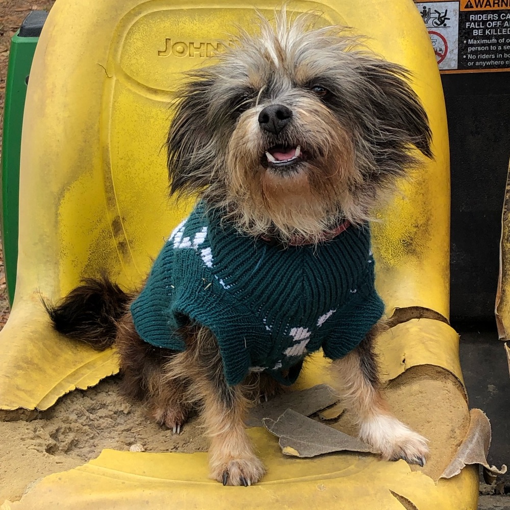 Meet your Posher, Mel